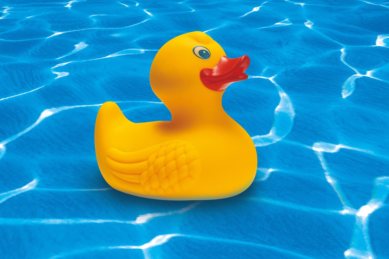 rubber duck, squeaky duck, yellow-248093.jpg