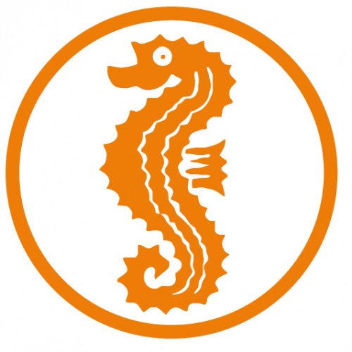 Abzeichen Seepferdchen